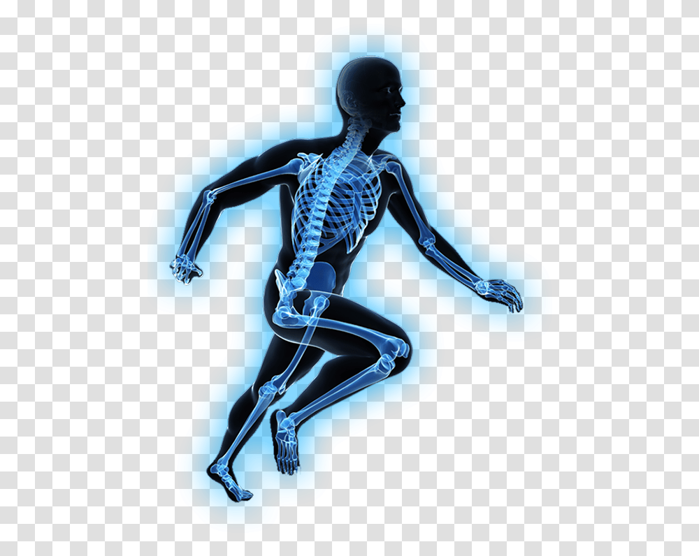 Illustration, Person, Human, X-Ray, Ct Scan Transparent Png