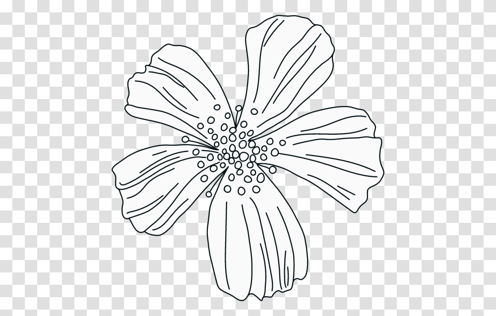 Illustration, Petal, Flower, Plant, Blossom Transparent Png