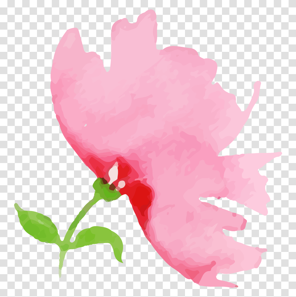 Illustration, Petal, Flower, Plant, Blossom Transparent Png