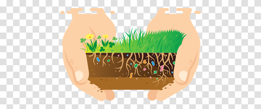 Illustration, Plant, Animal Transparent Png