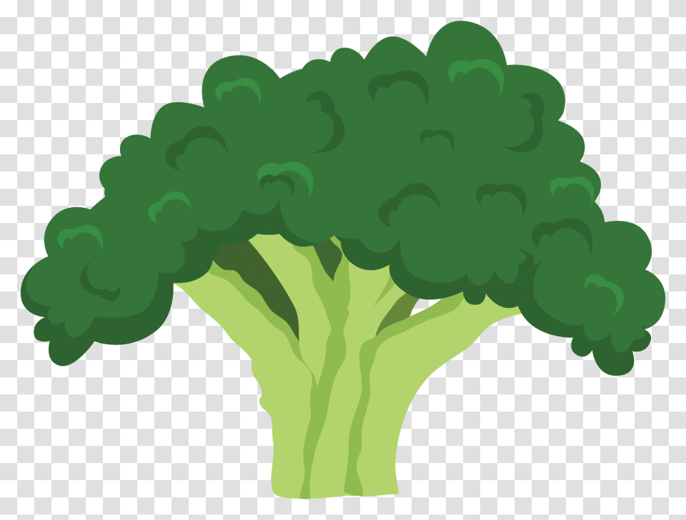 Illustration, Plant, Broccoli, Vegetable, Food Transparent Png