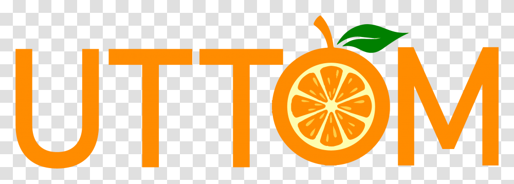 Illustration, Plant, Citrus Fruit, Food, Orange Transparent Png