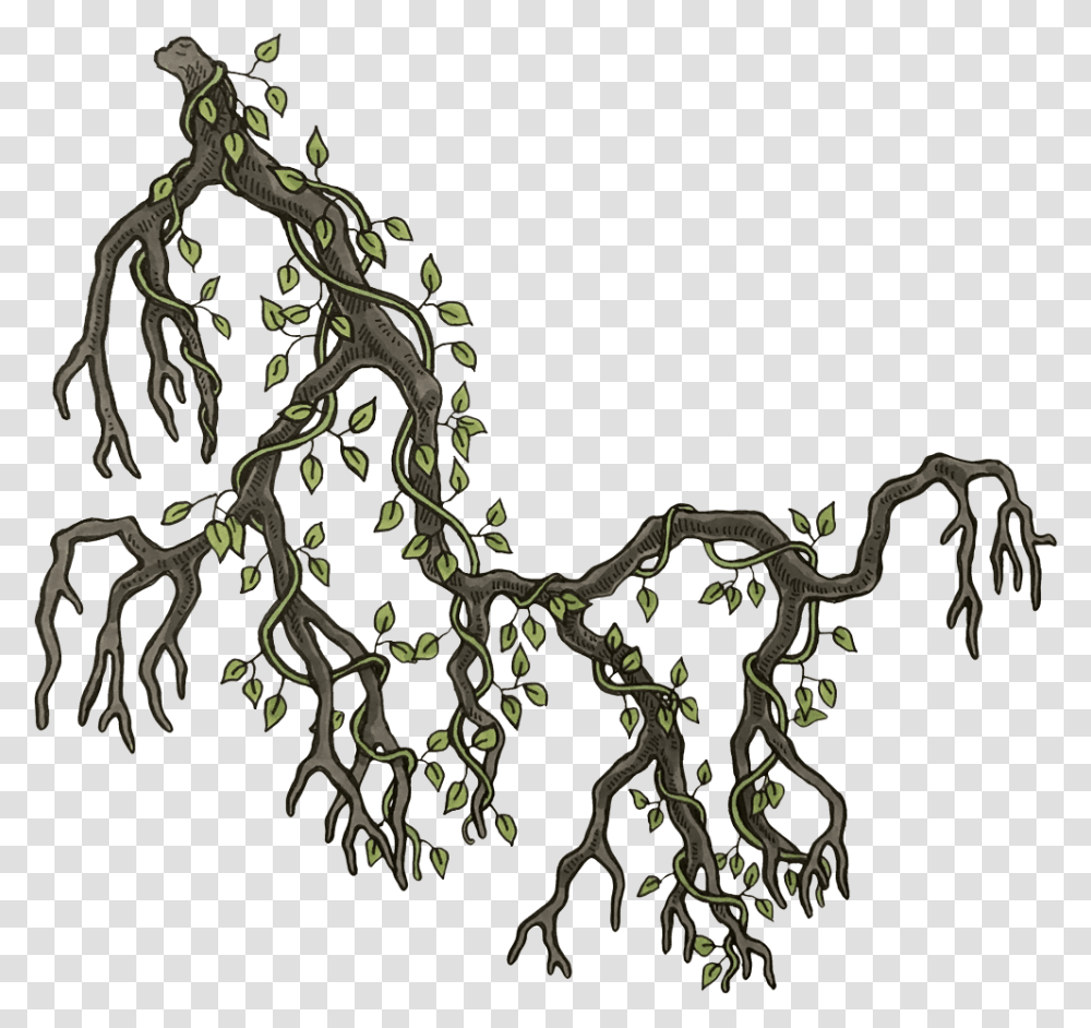 Illustration, Plant, Cross, Root Transparent Png