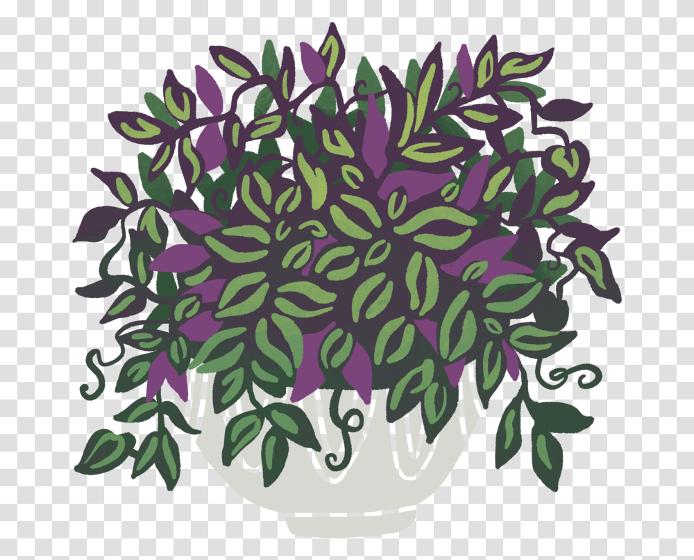 Illustration, Plant, Floral Design, Pattern Transparent Png