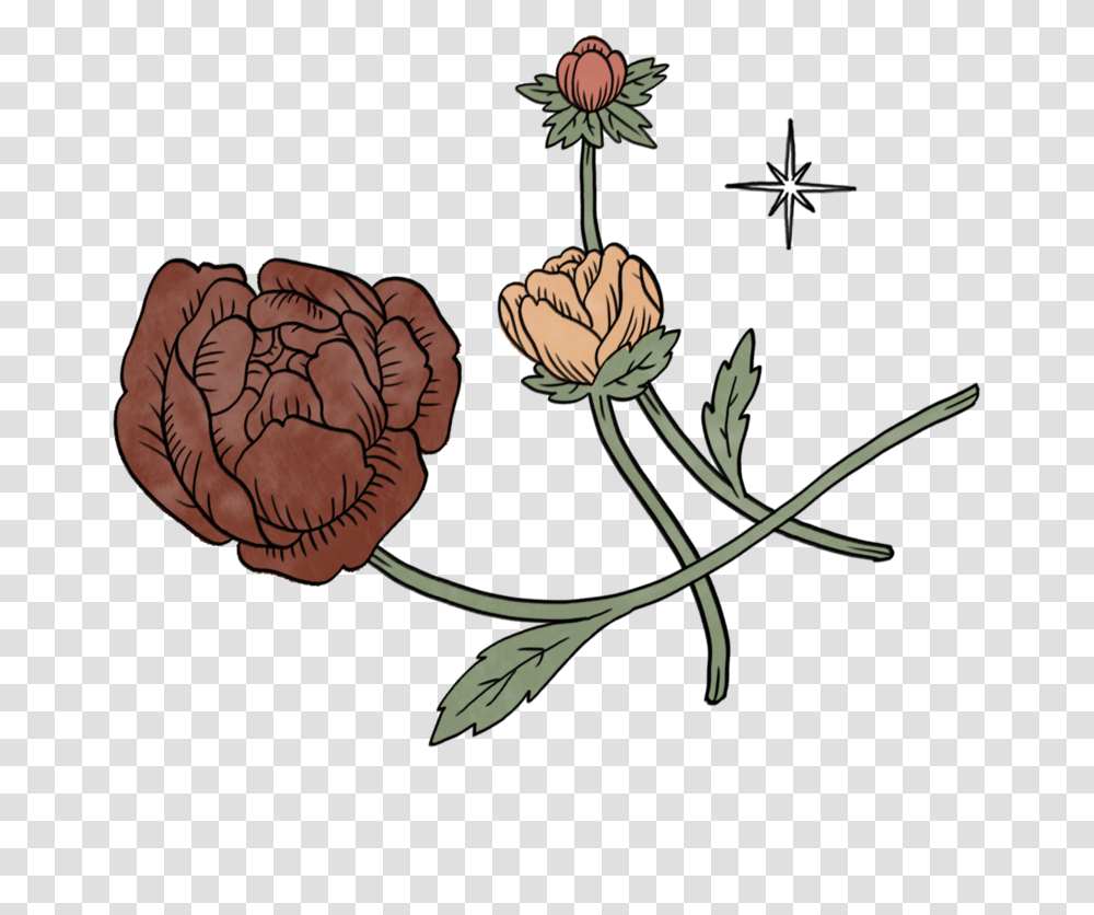 Illustration, Plant, Flower, Blossom Transparent Png