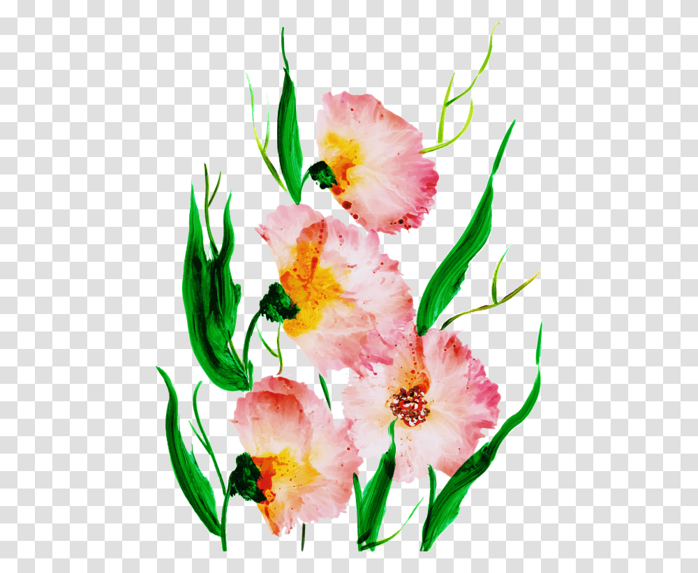 Illustration, Plant, Flower, Blossom, Carnation Transparent Png