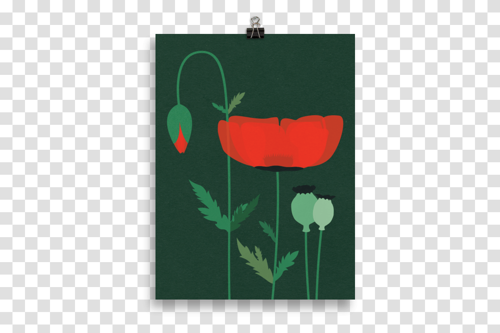 Illustration, Plant, Flower, Blossom, Petal Transparent Png