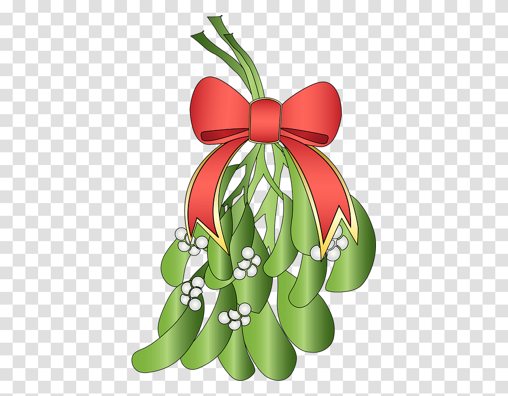 Illustration, Plant, Gift Transparent Png