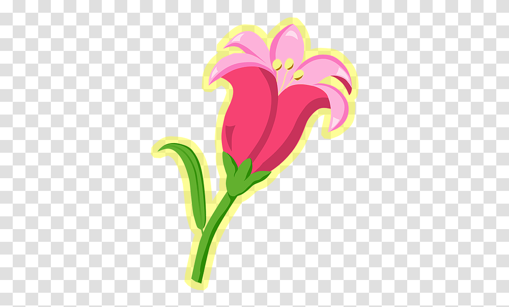 Illustration, Plant, Hibiscus, Flower, Blossom Transparent Png
