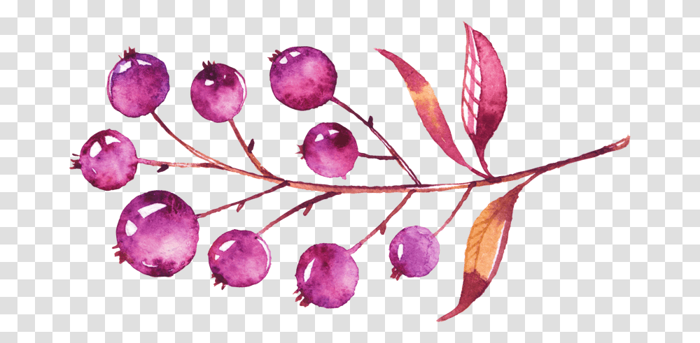 Illustration, Plant, Leaf, Fruit, Food Transparent Png