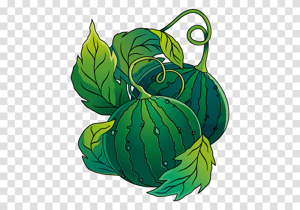 Illustration, Plant, Leaf, Green, Fruit Transparent Png