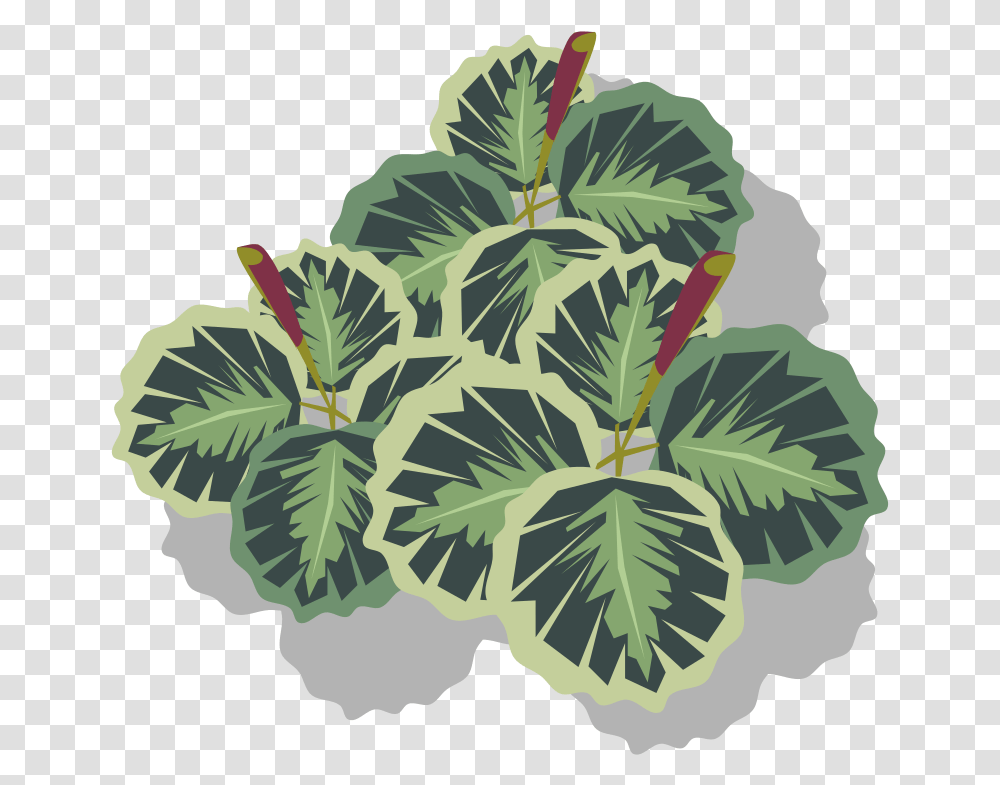 Illustration, Plant, Leaf, Pineapple, Food Transparent Png
