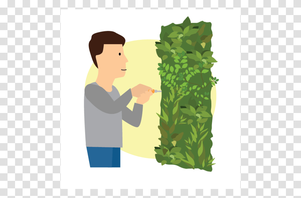 Illustration, Plant, Leaf, Tree, Green Transparent Png