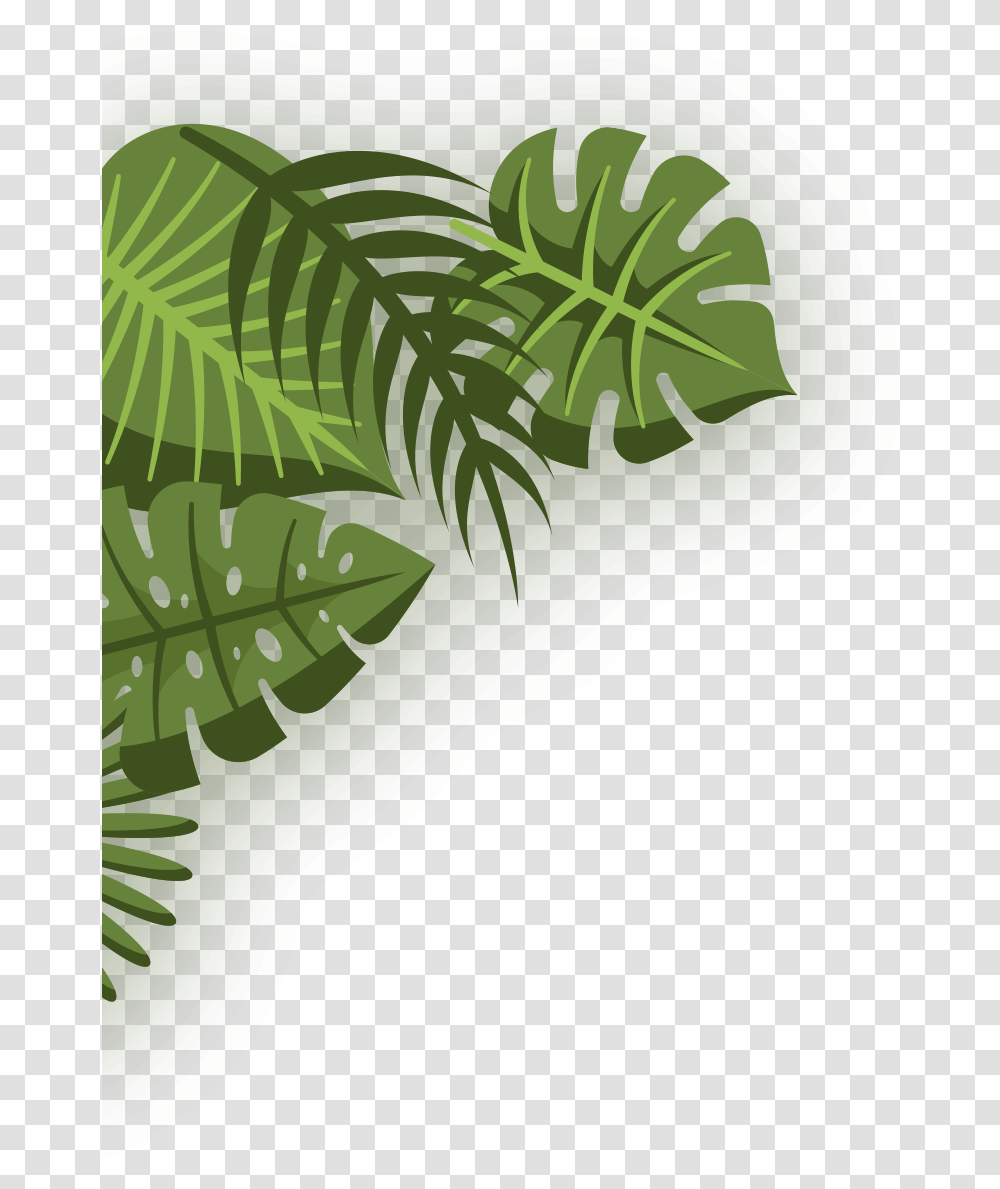 Illustration, Plant, Leaf, Vegetable, Food Transparent Png