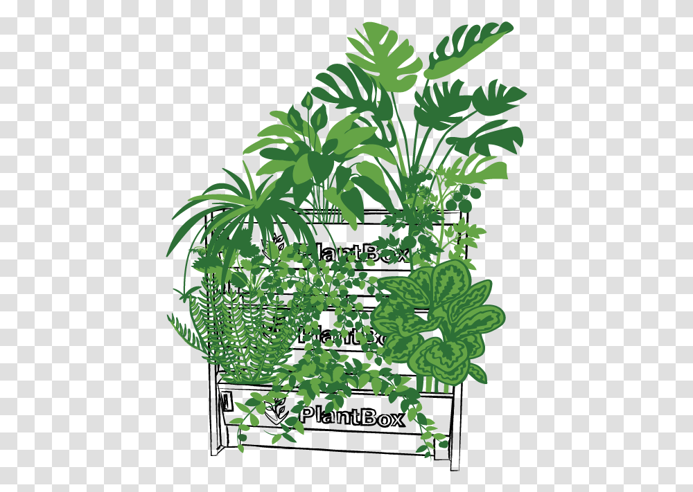 Illustration, Plant, Potted Plant, Vase, Jar Transparent Png