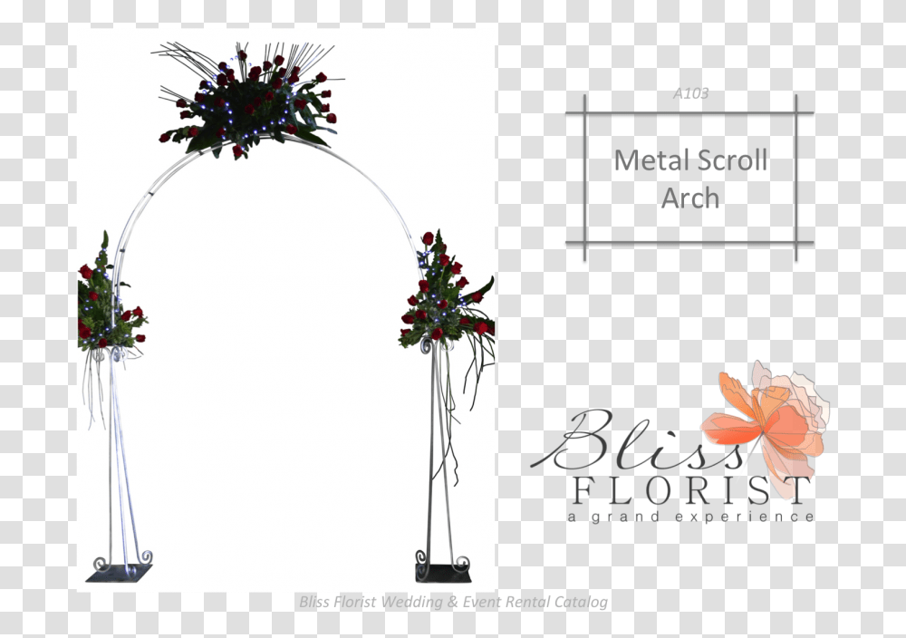 Illustration, Plant, Tree, Floral Design, Pattern Transparent Png