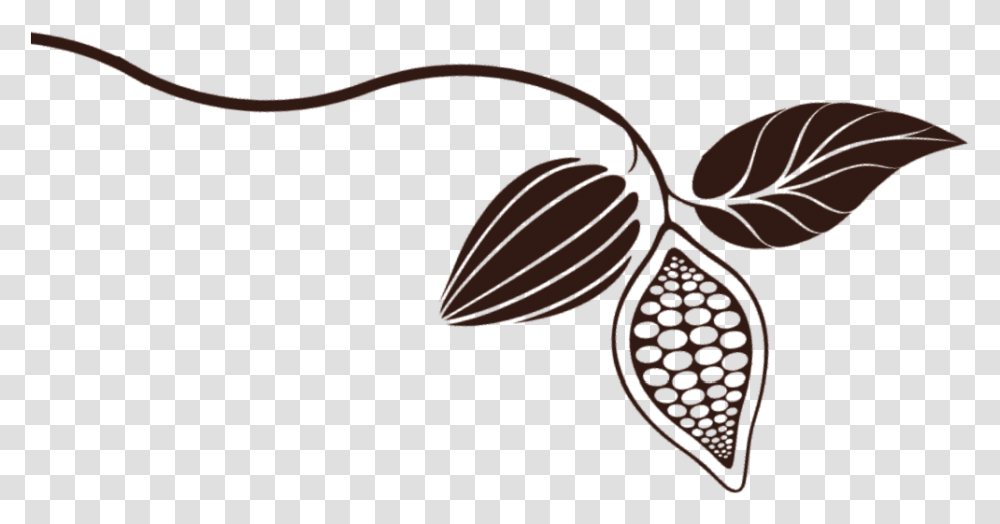 Illustration, Plant, Vegetable, Food, Seed Transparent Png