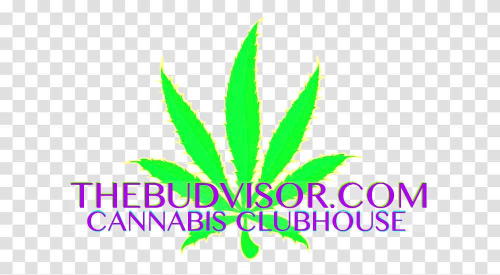 Illustration, Plant, Weed, Leaf, Hemp Transparent Png