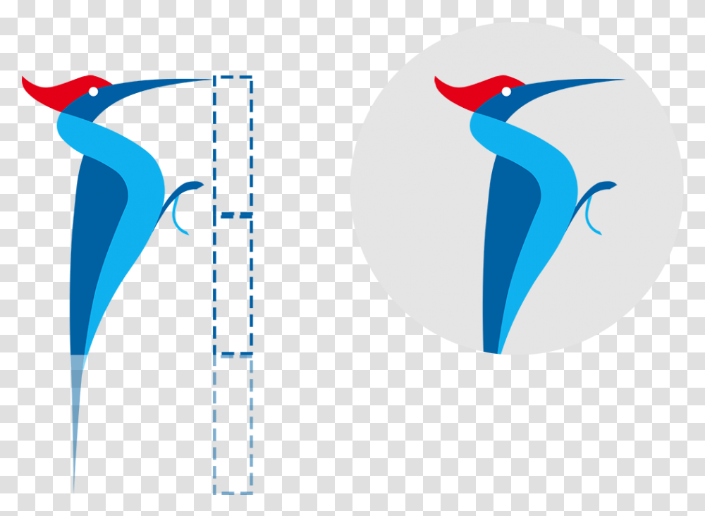 Illustration, Plot, Diagram, X-Ray, Ct Scan Transparent Png