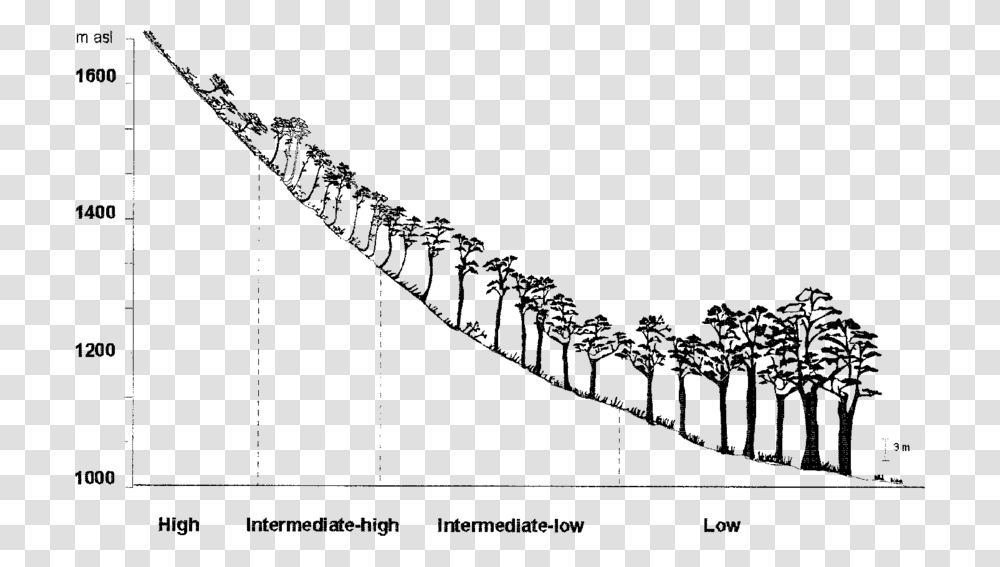 Illustration, Plot, Nature, Outdoors, Diagram Transparent Png