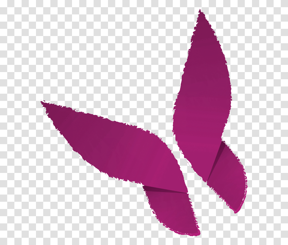Illustration, Purple, Leaf, Plant, Flower Transparent Png