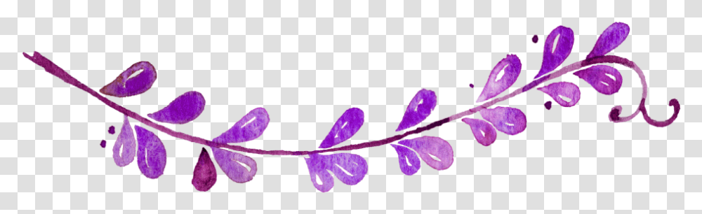 Illustration, Purple, Plant, Flower, Blossom Transparent Png