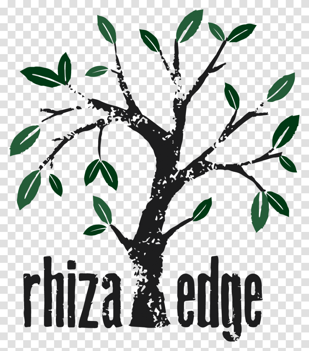 Illustration Rhiza Press, Plant, Tree, Leaf, Flower Transparent Png