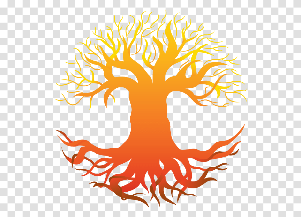 Illustration, Root, Plant, Fire, Flame Transparent Png