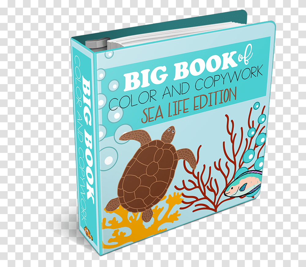 Illustration, Sea Life, Animal, Box, Tortoise Transparent Png