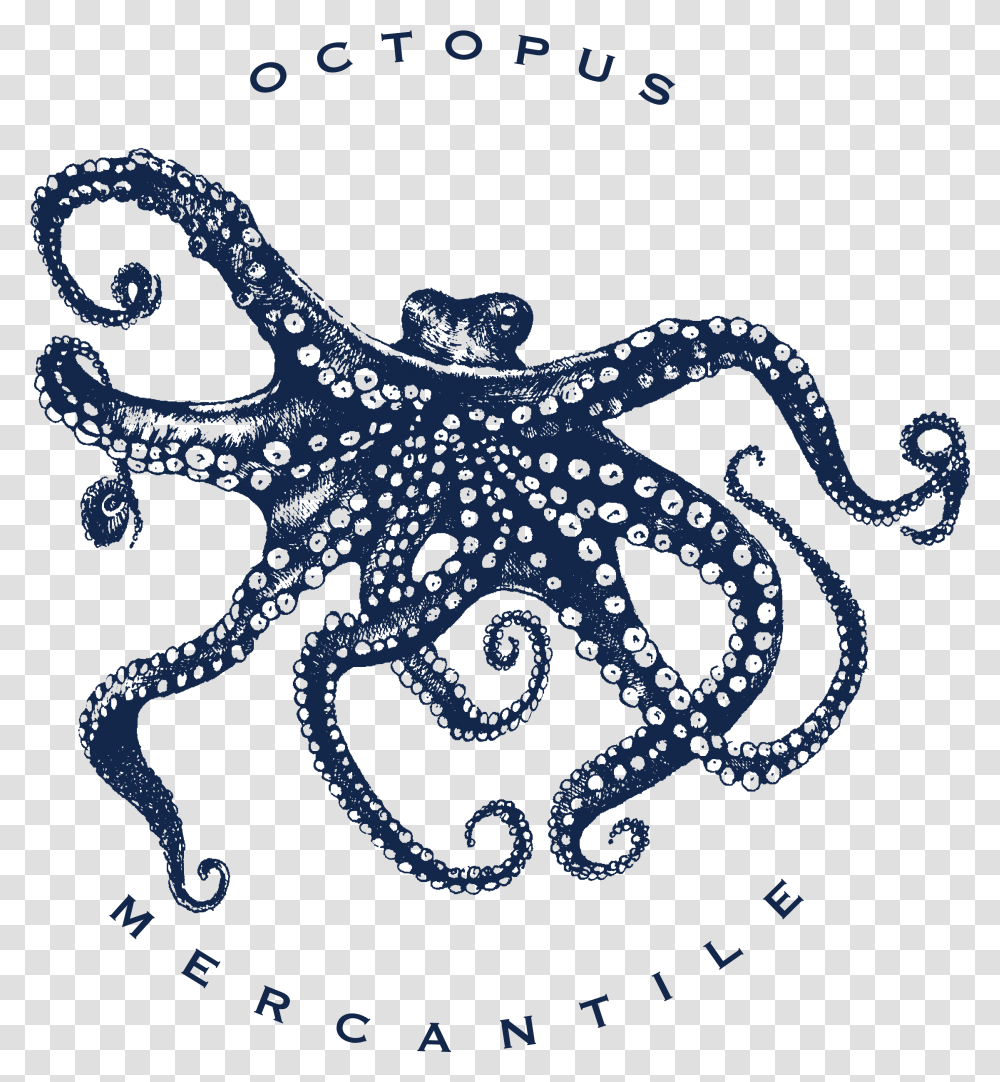 Illustration, Sea Life, Animal, Octopus, Invertebrate Transparent Png