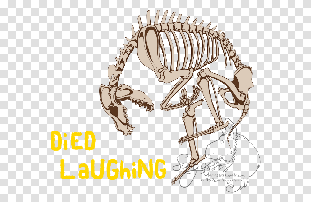 Illustration, Skeleton, Zebra, Wildlife, Mammal Transparent Png