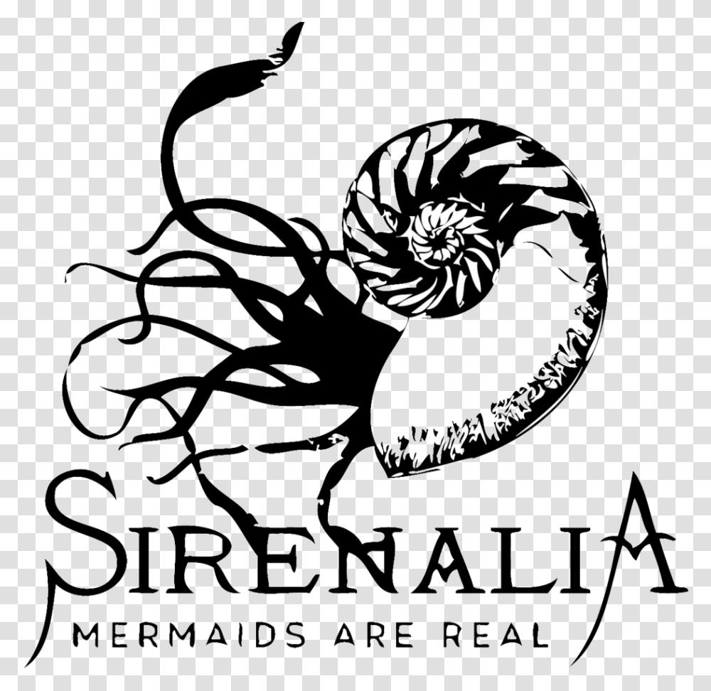 Illustration, Spiral, Animal, Invertebrate, Sea Life Transparent Png