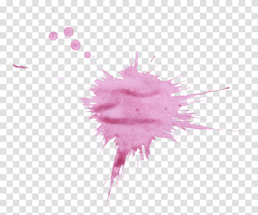 Illustration, Stain, Petal Transparent Png