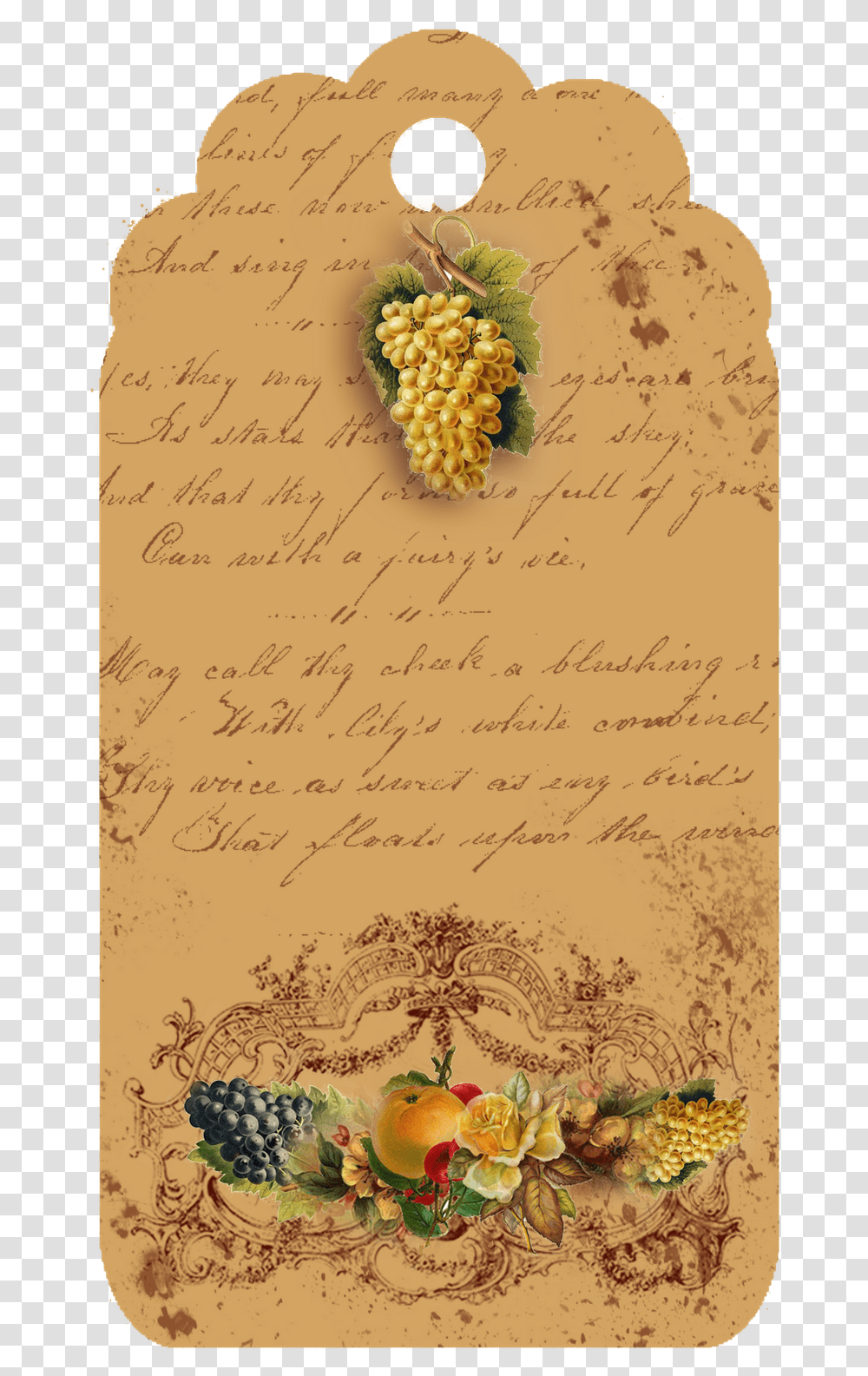 Illustration, Plant, Flower, Handwriting Transparent Png