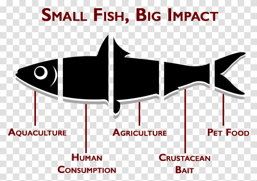 Illustration, Plot, Label, Outdoors Transparent Png