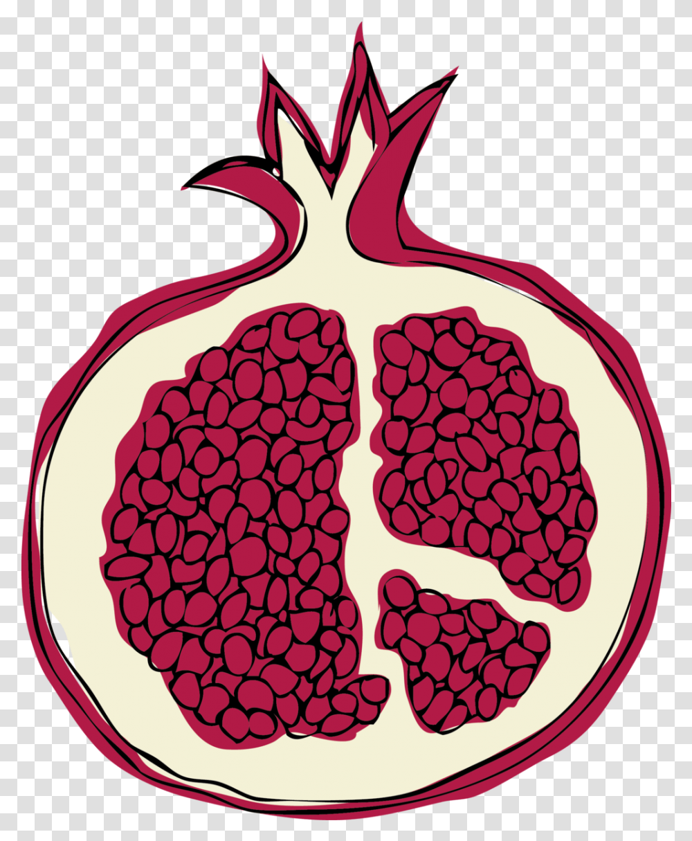 Illustration - Sadira Gray Pomegranate, Plant, Fruit, Food, Produce Transparent Png