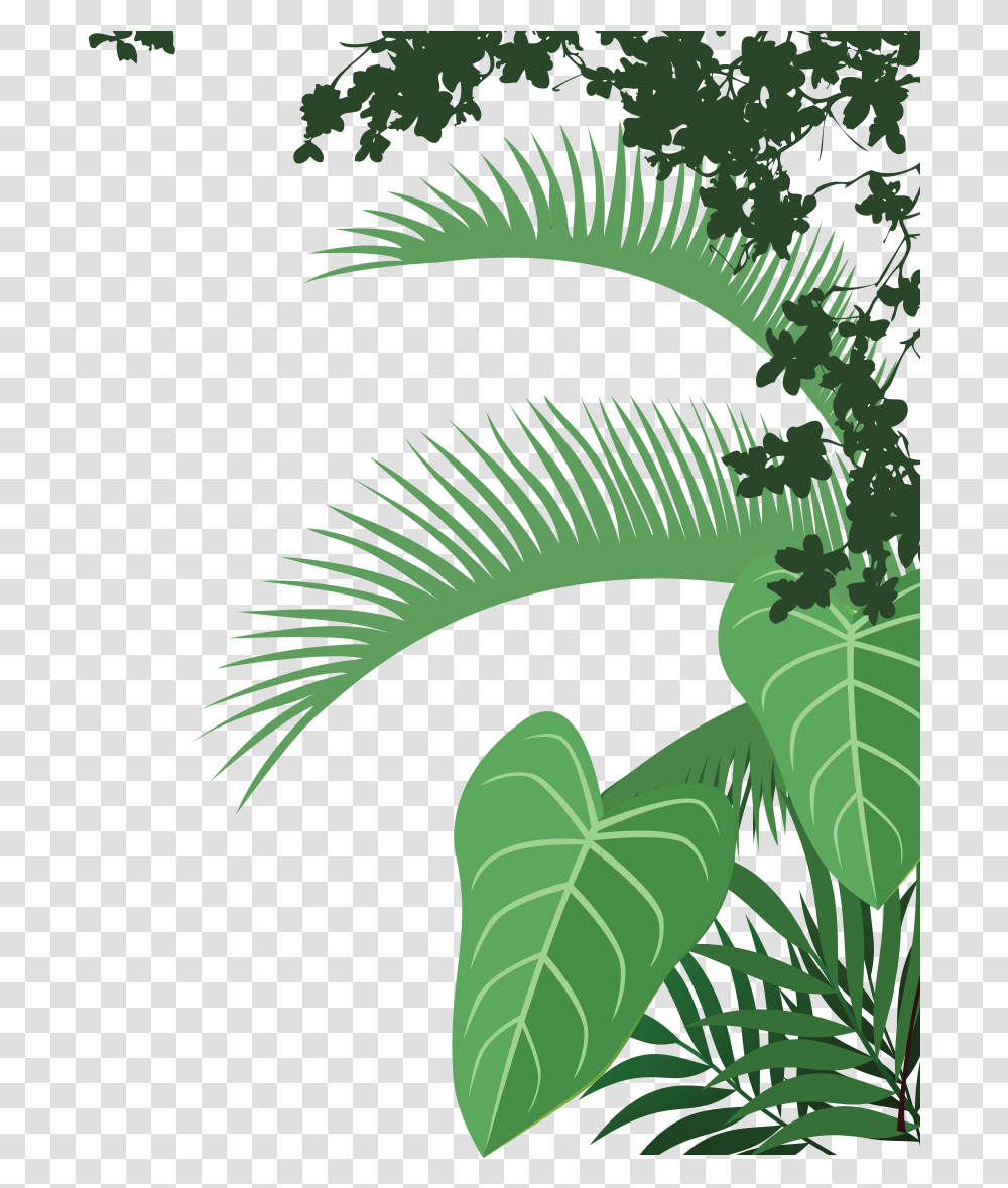 Illustration, Vegetation, Plant, Green, Rainforest Transparent Png