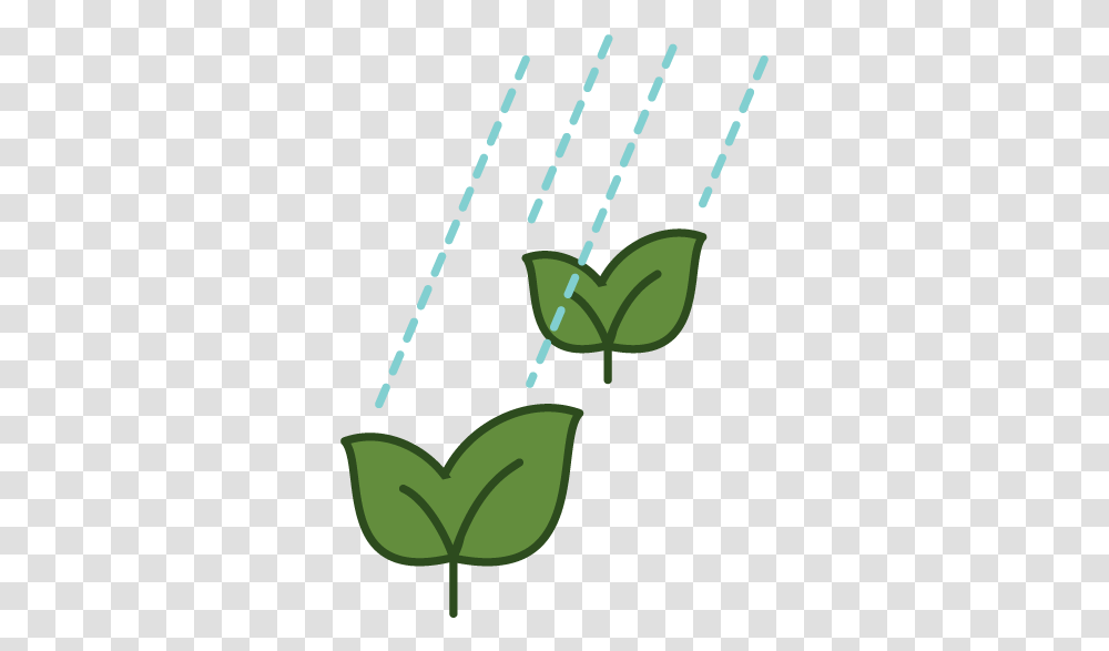 Illustrationgallery, Plant, Seed, Grain Transparent Png