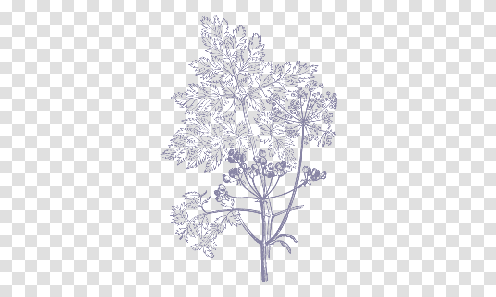 Illustrations Hd Flower Illustration Vector, Snowflake, Plant, Blossom, Rug Transparent Png