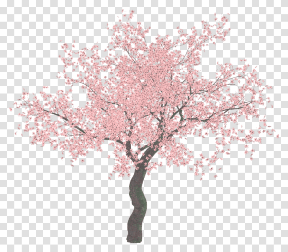 Illustrator Tree Background Cherry Blossom Tree, Plant, Flower Transparent Png