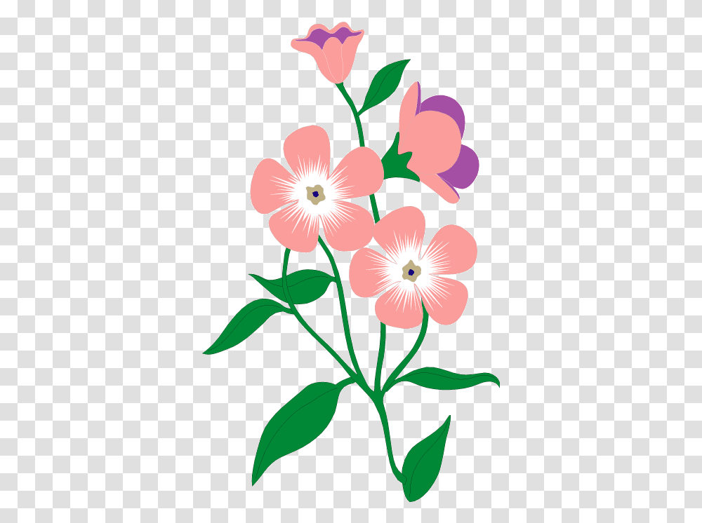 Illustrator Vectors Photos And Psd Files Free Download Flower Vector Illustrator Free, Plant, Geranium, Blossom, Petal Transparent Png