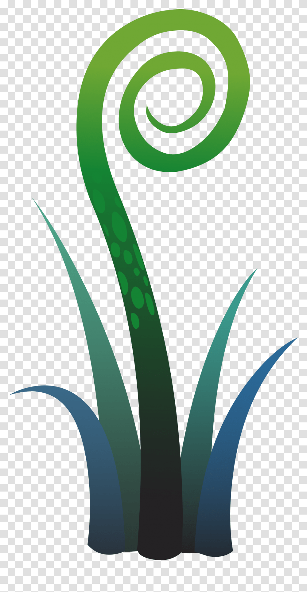 Ilmenskie Plant Fern Icons, Flower, Blossom, Aloe, Tulip Transparent Png