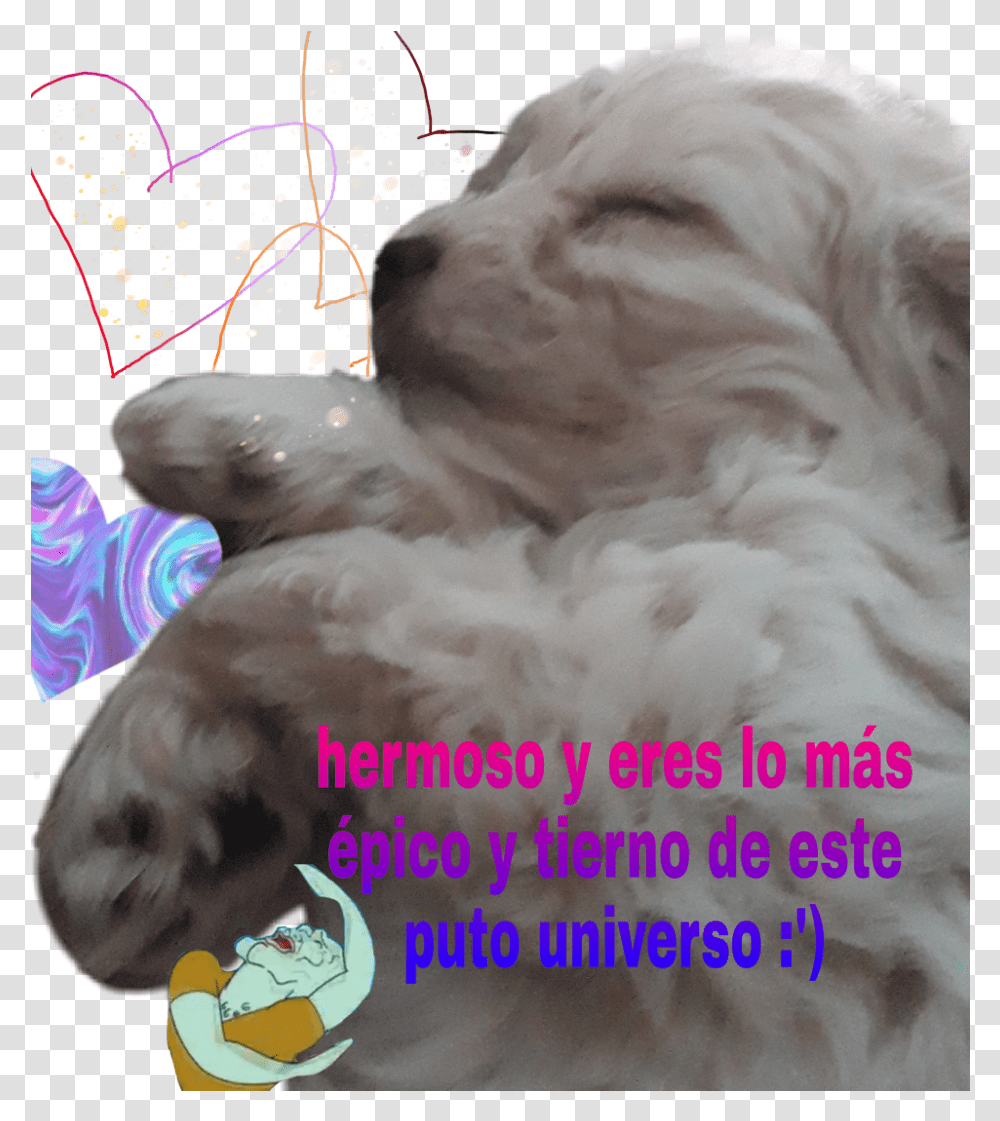 Iloveyouforever Dale Like Sticker Photo Caption, Mammal, Animal, Ornament, Dog Transparent Png