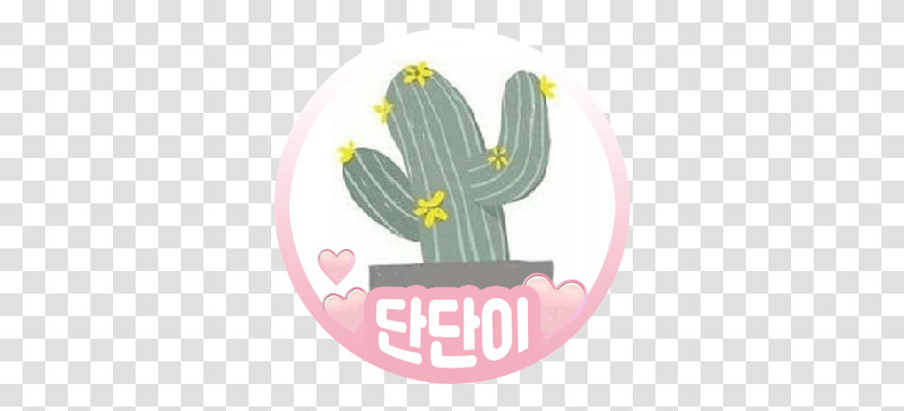Im So Happy Krystal Jung Hugs Do Vertical, Plant, Cactus, Birthday Cake, Dessert Transparent Png