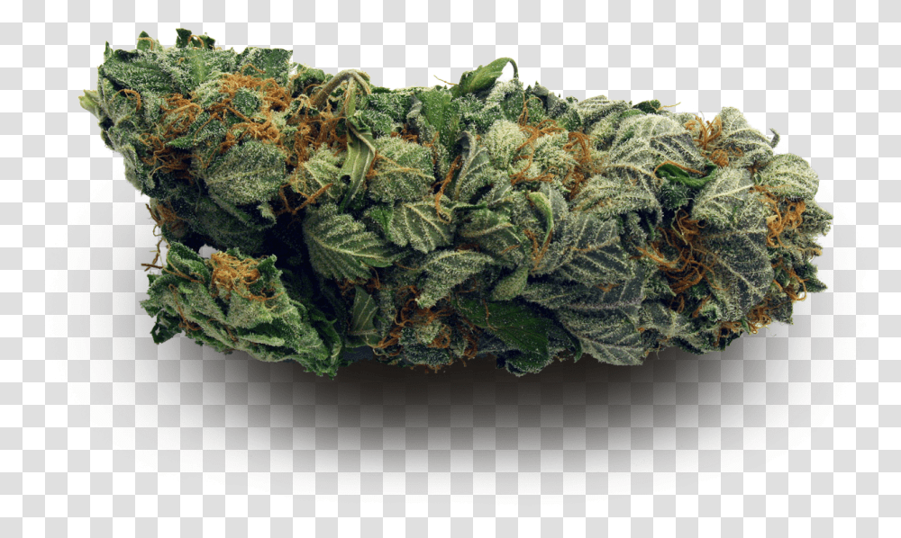 Im Too High For This Shit, Plant, Vegetable, Food, Flower Transparent Png