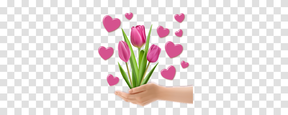 Image Emotion, Plant, Flower, Blossom Transparent Png