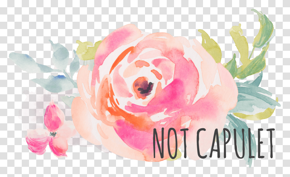 Image 5 Not Capulet Header Grey Pink Watercolor Flower Bouquet, Rose, Plant, Blossom, Fish Transparent Png