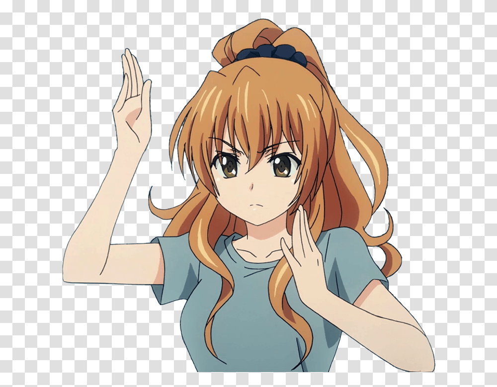 Image About Anime In Toradora By M Golden Time, Manga, Comics, Book, Horse Transparent Png