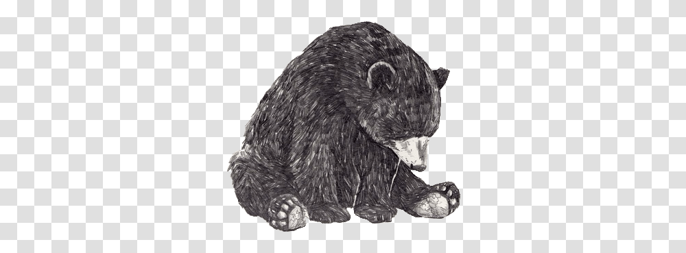 Image About Bear In Random Shit By Nna Bear Black And White, Bird, Animal, Wildlife, Mammal Transparent Png