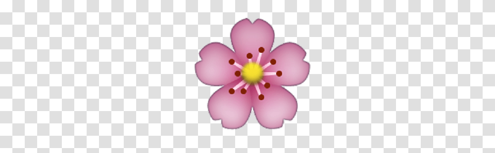 Image About Flower In Emoji, Plant, Anther, Blossom, Petal Transparent Png
